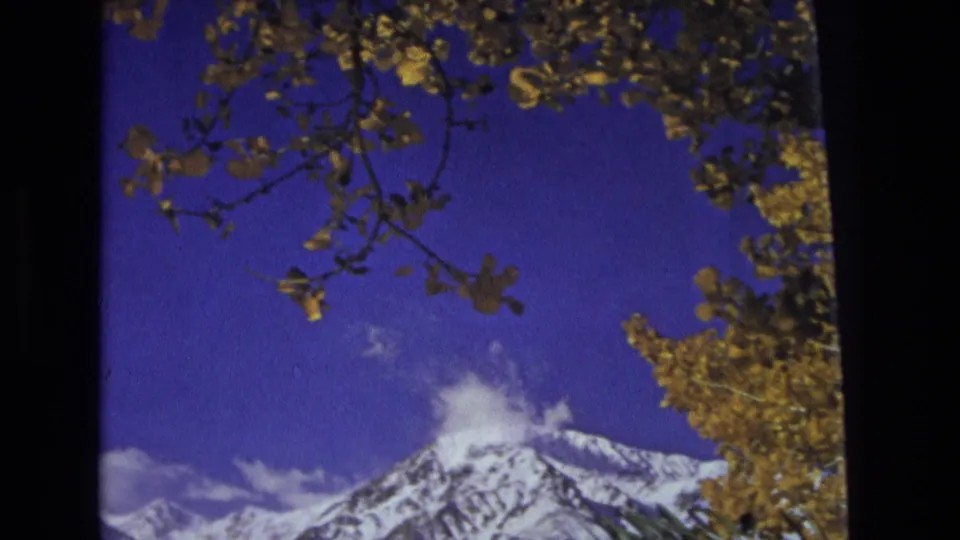 1973 8mm home-movie frame from the Salt Lake City, Utah area showing a snow-capped mountain peak under a blue sky with autumn leaves overhead.