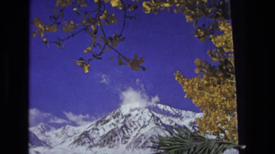 Home-movie view of a snow-covered mountain range near Salt Lake City, Utah in 1973, partially framed by yellow leaves and soft film grain.