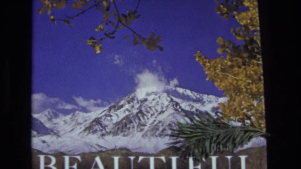 1973 8mm frame showing Salt Lake City-area snowy mountain peaks with yellow autumn leaves above and a green pine branch entering the foreground.