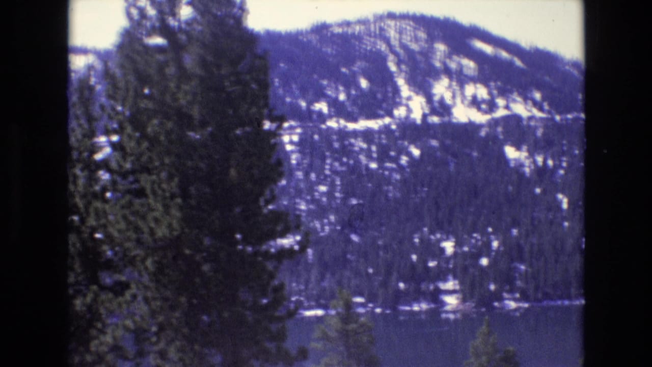 Tall evergreen trees stand before a snowy mountain ridge and lake.