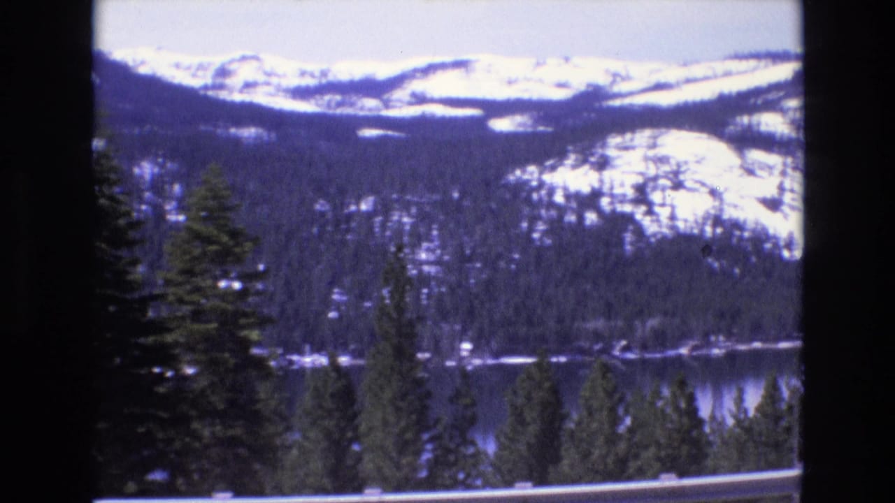 Evergreen trees in front of a lake and snowy mountain slopes.