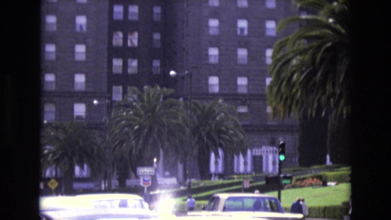 Cars pass a palm-lined street in front of a tall building with many windows.