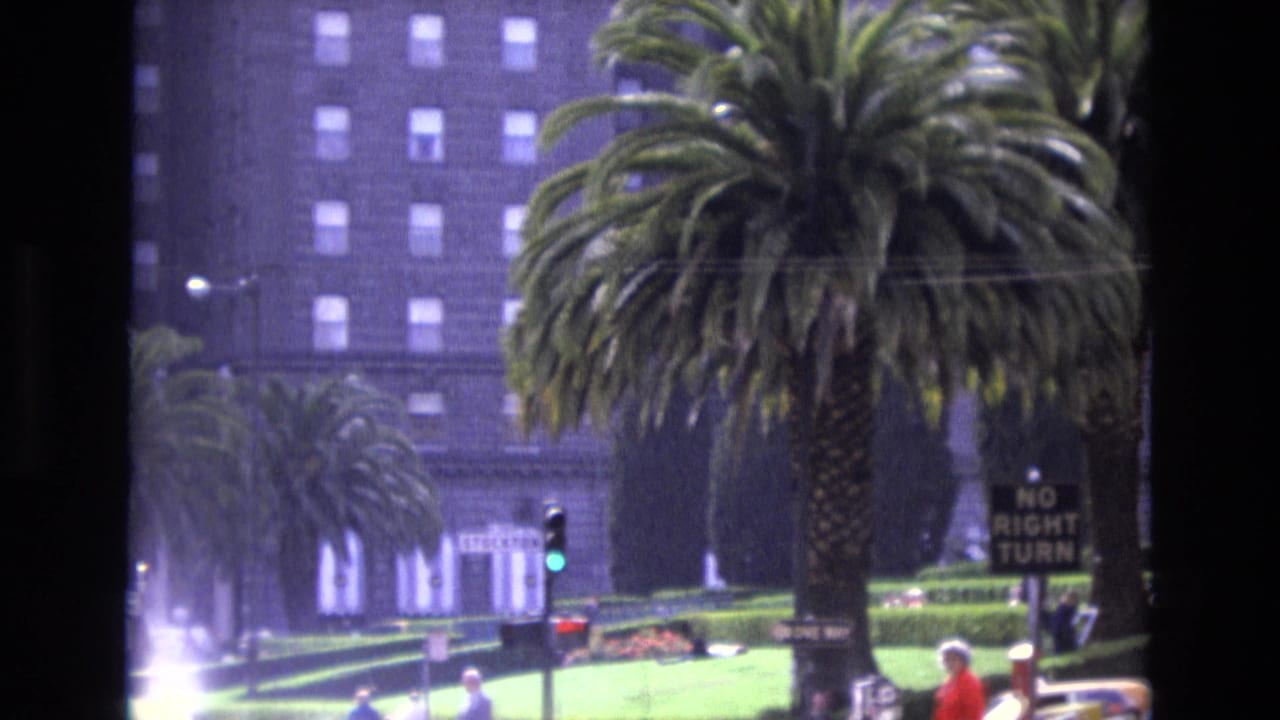 Urban street view with palm trees, green traffic light, pedestrians, cars, and a NO RIGHT TURN sign.