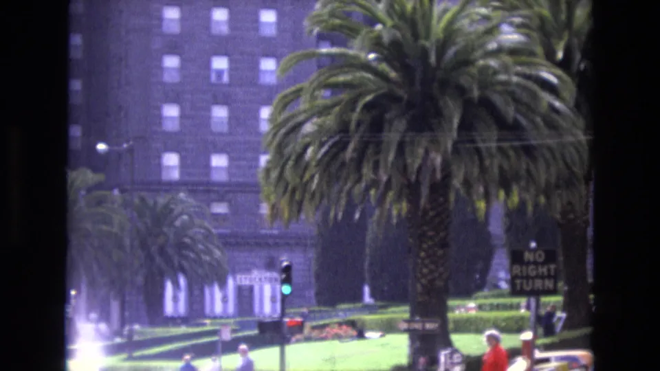 1973 San Francisco street frame with palm trees, a green traffic signal, pedestrians near the curb, cars passing, landscaped planting, and a visible NO RIGHT TURN sign.