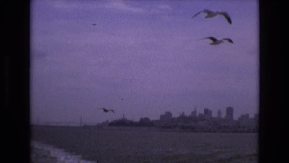 1973 San Francisco waterfront view from the water, with silhouetted gulls crossing a hazy skyline and visible boat wake in the foreground.