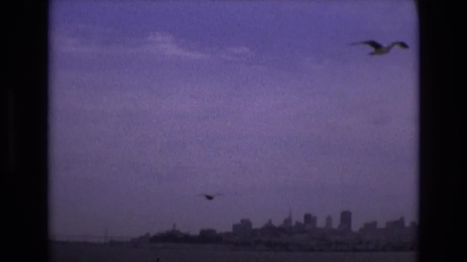 Soft 8mm frame of the San Francisco skyline and waterfront from the water, with a small bird crossing the purple-tinted sky.
