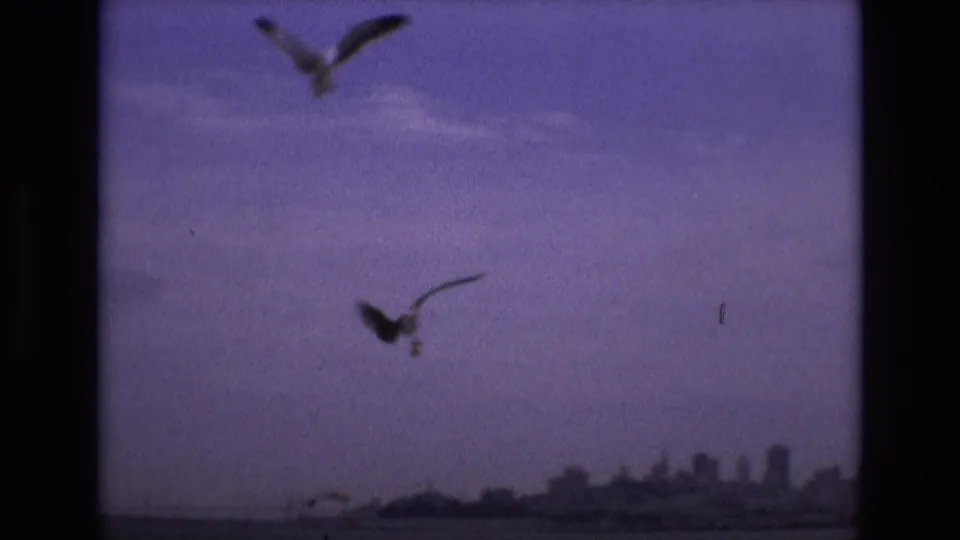 1973 8mm home-movie view toward San Francisco from the water, with multiple gulls silhouetted against a soft purple sky and distant buildings.