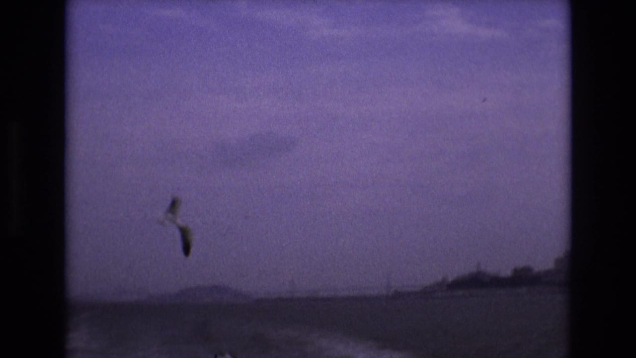 A purple-tinted 1973 8mm San Francisco Bay frame shows a single gull over choppy water with a low, distant shoreline and hazy sky.