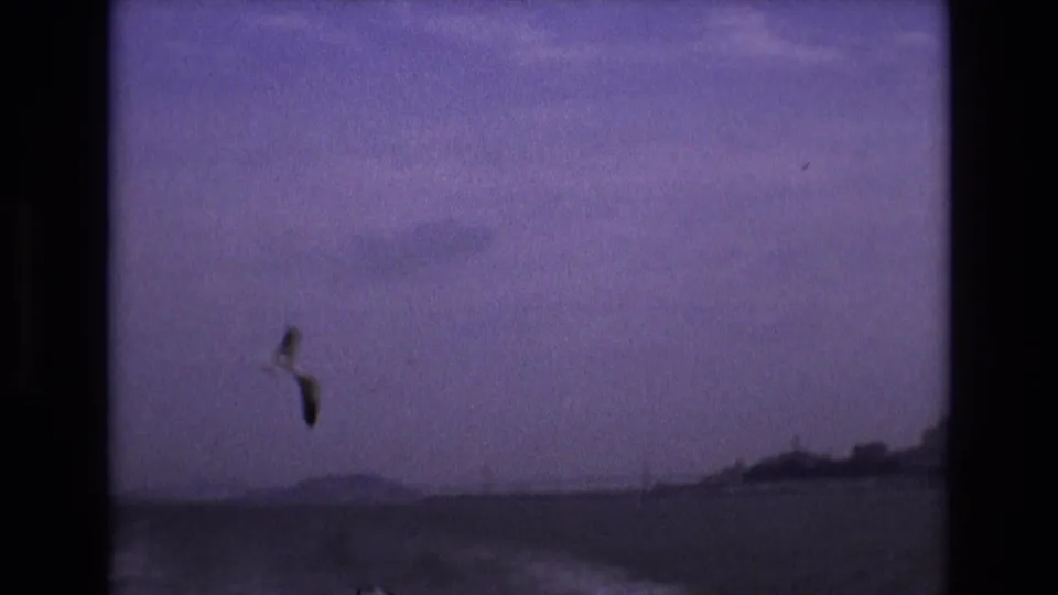 A purple-tinted 1973 8mm San Francisco Bay frame shows a single gull over choppy water with a low, distant shoreline and hazy sky.