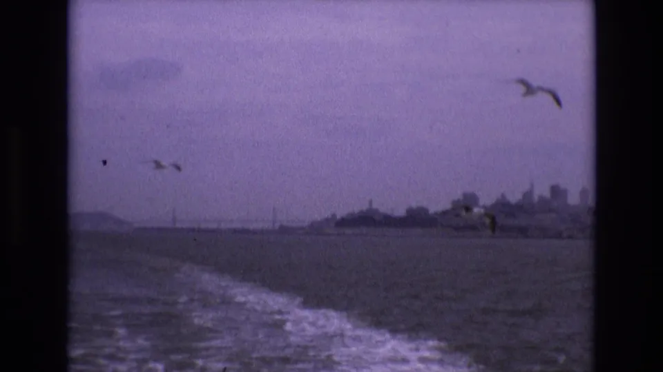 A 1973 San Francisco Bay home-movie frame shows gulls crossing above a boat wake, with choppy water, distant shoreline, and softened skyline forms beyond.