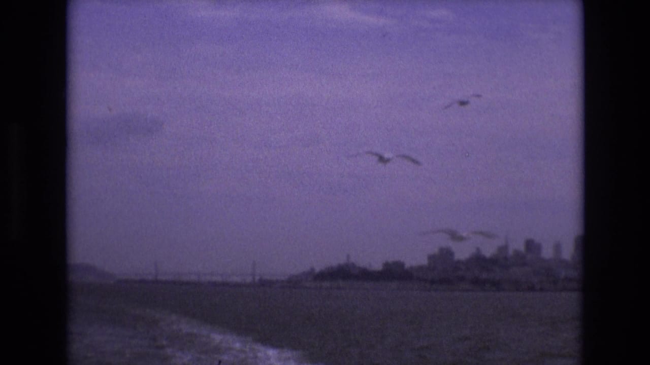 1973 San Francisco home-movie frame showing gulls above dark bay water, a foamy wake, and a hazy distant skyline.