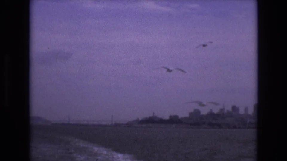 1973 San Francisco home-movie frame showing gulls above dark bay water, a foamy wake, and a hazy distant skyline.