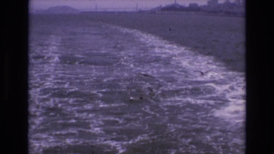 1973 San Francisco home-movie frame showing a foamy wake across bay water with gulls low over the surface and the city shoreline in the distance.