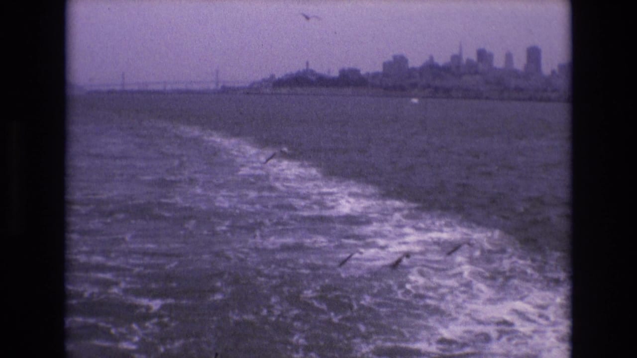 Foamy wake crosses bay water with birds and a distant city skyline beyond.