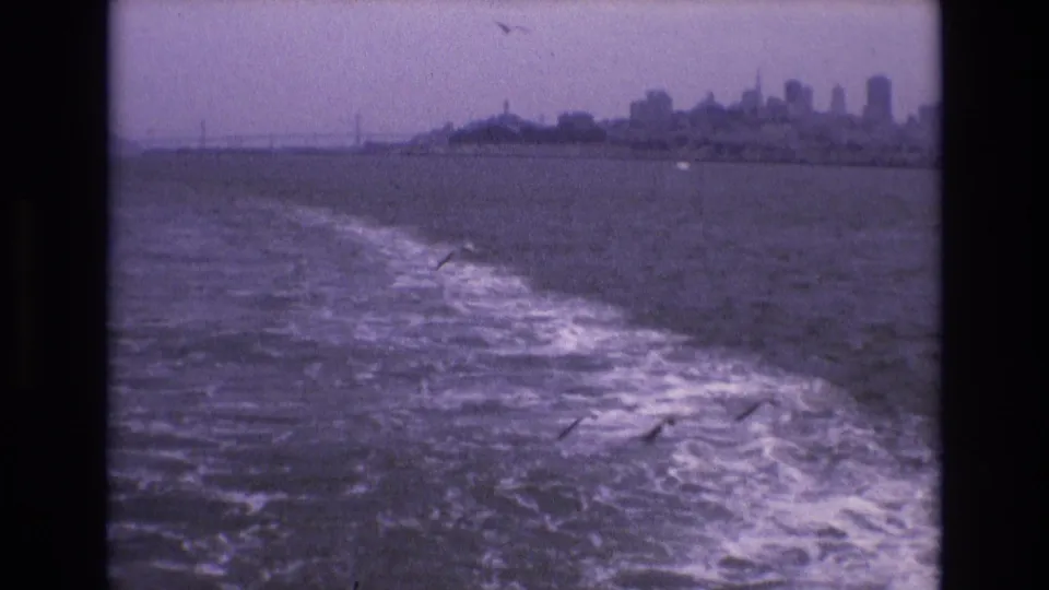 Purple-tinted 8mm frame showing a boat wake across San Francisco Bay, with seagulls over the water and the city skyline in the distance.