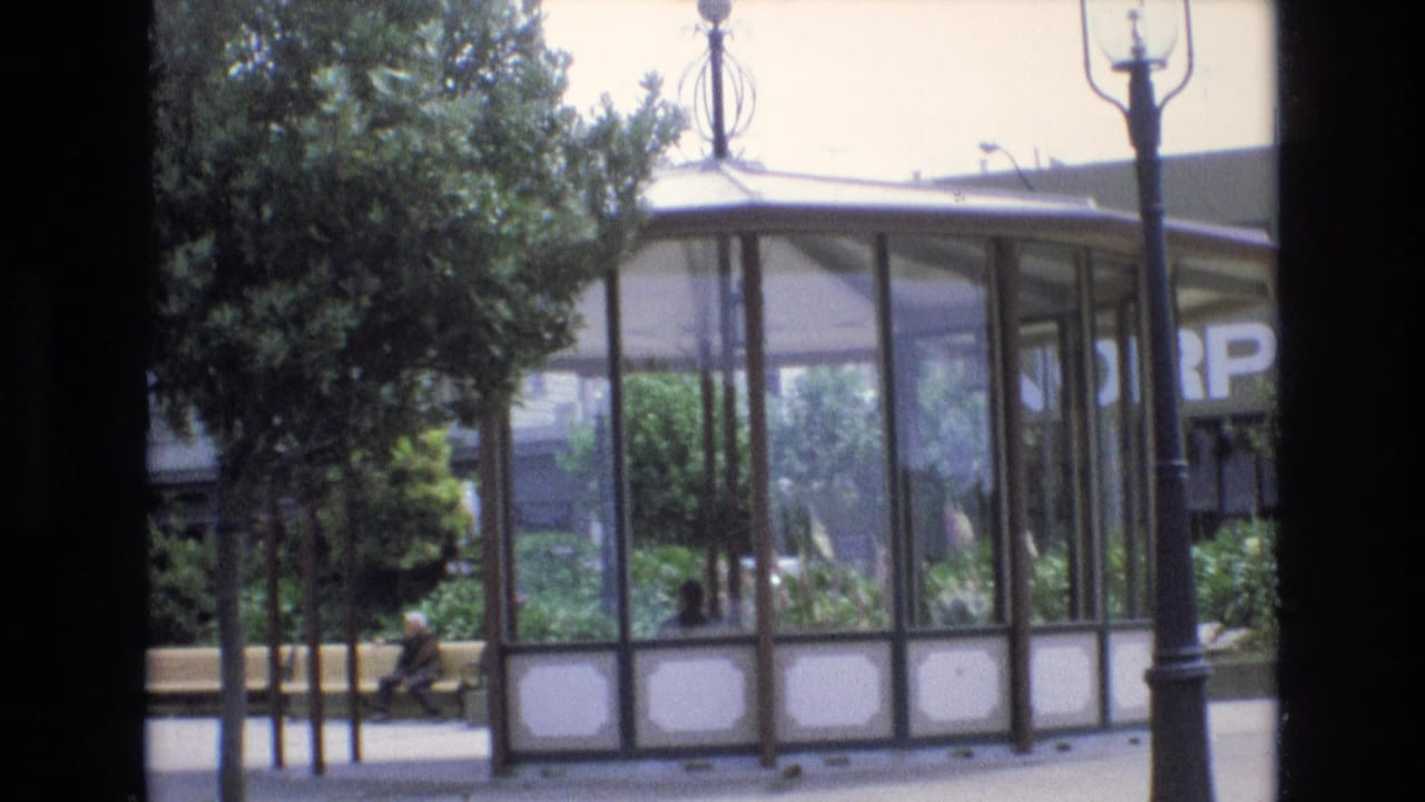 Glass street shelter beside trees and a streetlamp with a distant seated person.