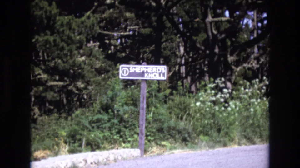 1973 8mm frame from the San Francisco area showing the Shepherd's Knoll sign against dense roadside vegetation and a pale road shoulder.