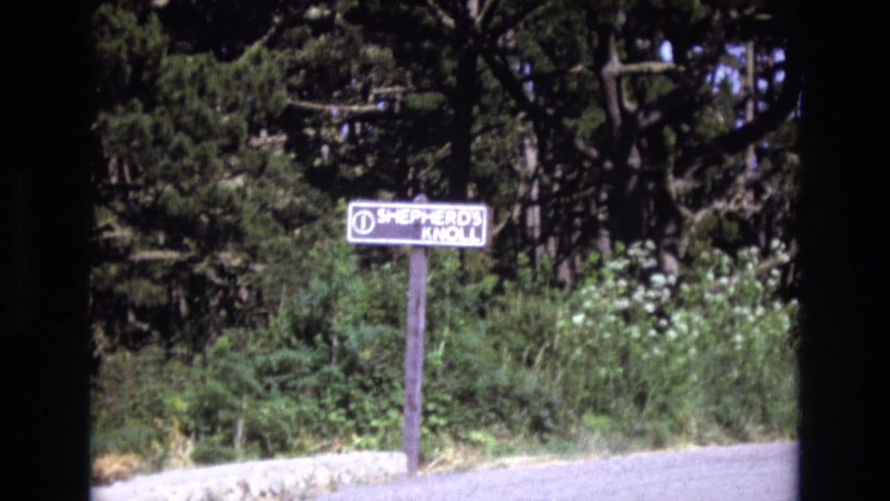 1973 San Francisco 8mm frame showing a white Shepherd's Knoll roadside sign on a wooden post near dense bushes, trees, and the edge of a paved road.