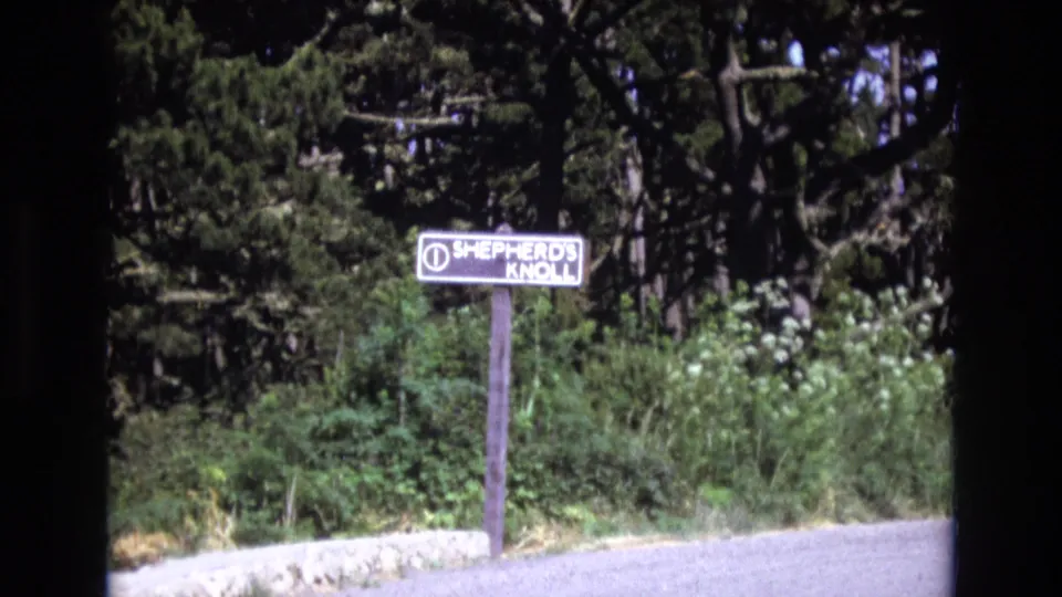 1973 San Francisco home-movie frame showing a Shepherd's Knoll sign by a paved roadside, with leafy plants, tall trees, and soft 8mm focus.
