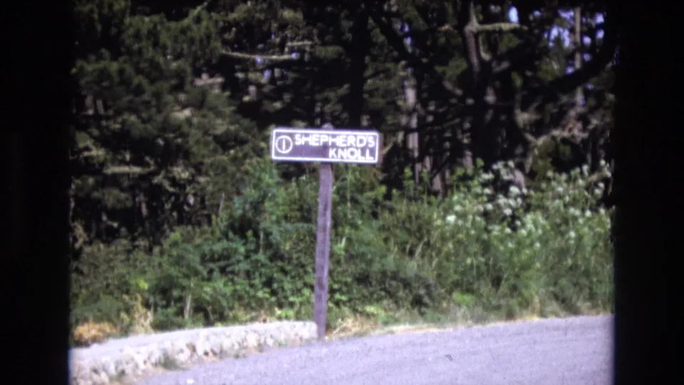 1973 San Francisco 8mm frame with the Shepherd's Knoll sign centered near a roadside path, with shrubs, weeds, and conifer branches filling the background.