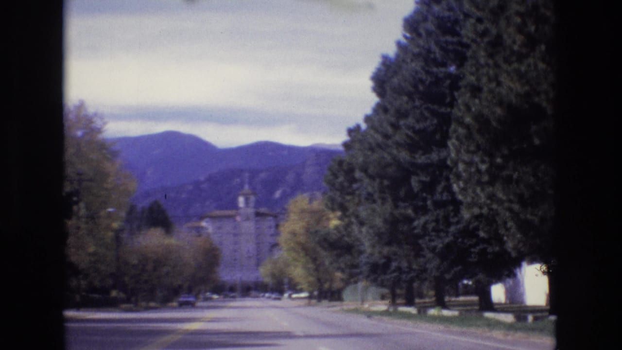 Roadway framed by tall trees with a distant building and mountain backdrop.