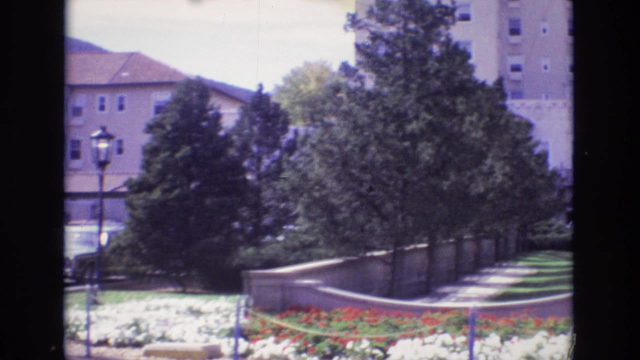 Curving walkway, flower beds, trees, lampposts, and hotel buildings.