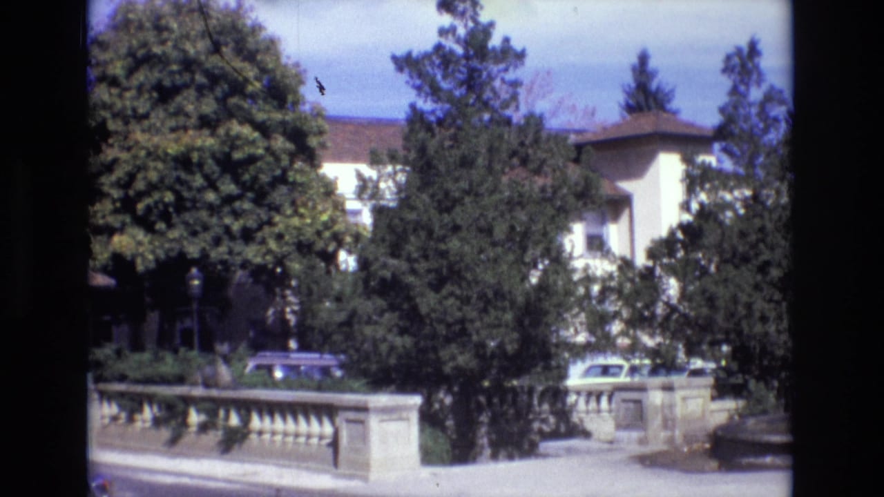 1974 Colorado Springs home-movie frame showing a tree-lined street, ornamental stone balustrade, lamppost, and cars partly obscured by foliage.