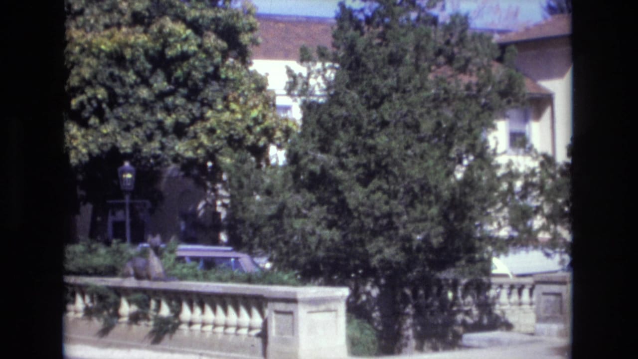 Station wagon and other cars pass behind a stone railing and dense trees near a pale building.