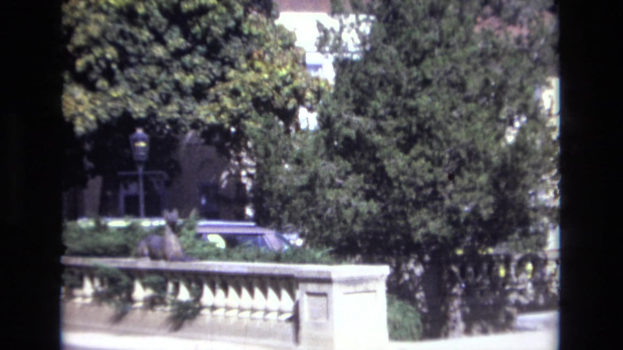 Similar roadside view with trees, stone railing, and a car behind the balustrade.