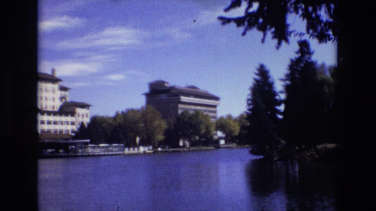 Lake view with large buildings, trees, and dark evergreen branches at the edge of the frame.
