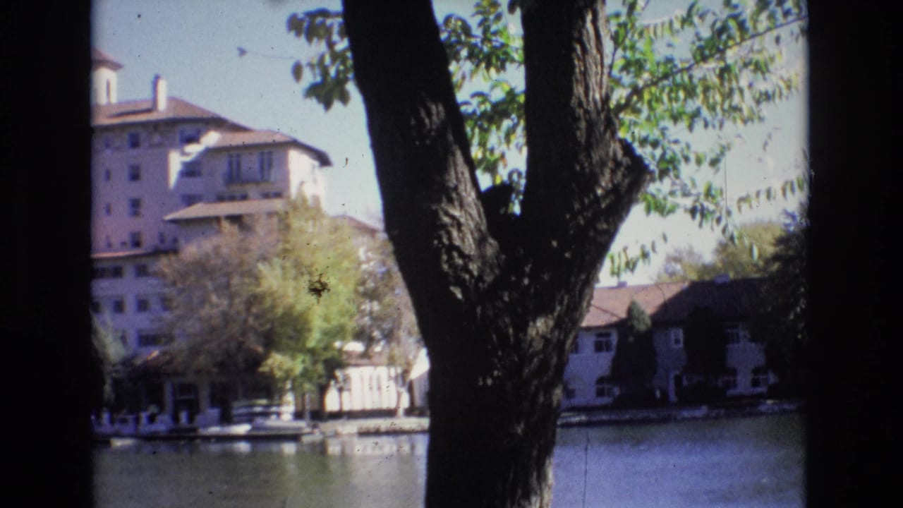 Dark tree trunk beside a lakeside building and still water.