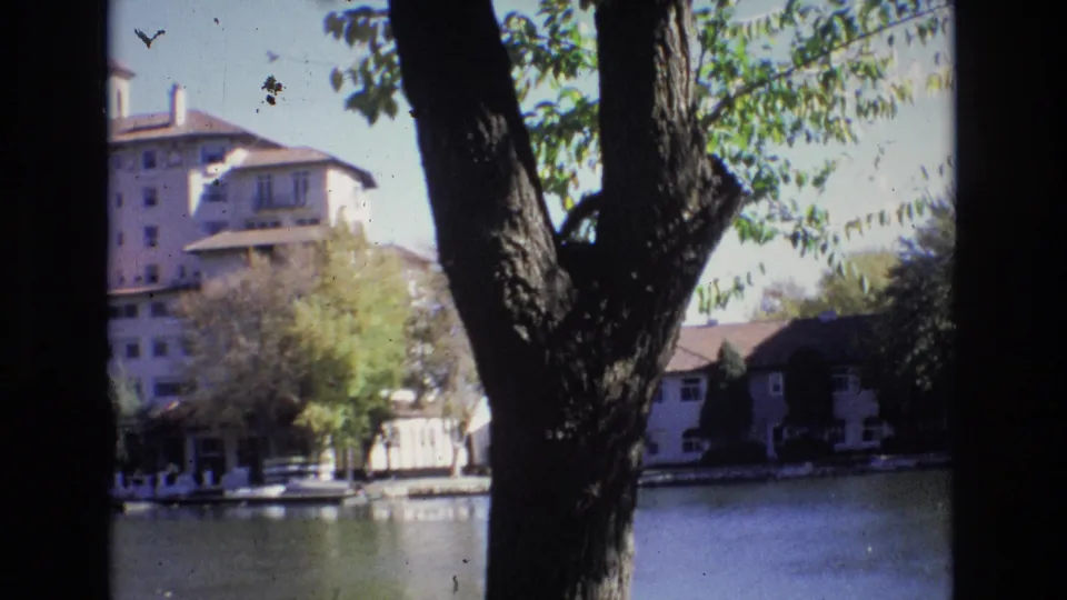 A 1974 Colorado Springs frame looks past a dark tree trunk and leaves toward calm water, a shoreline, and a pale hotel-like building in the background.