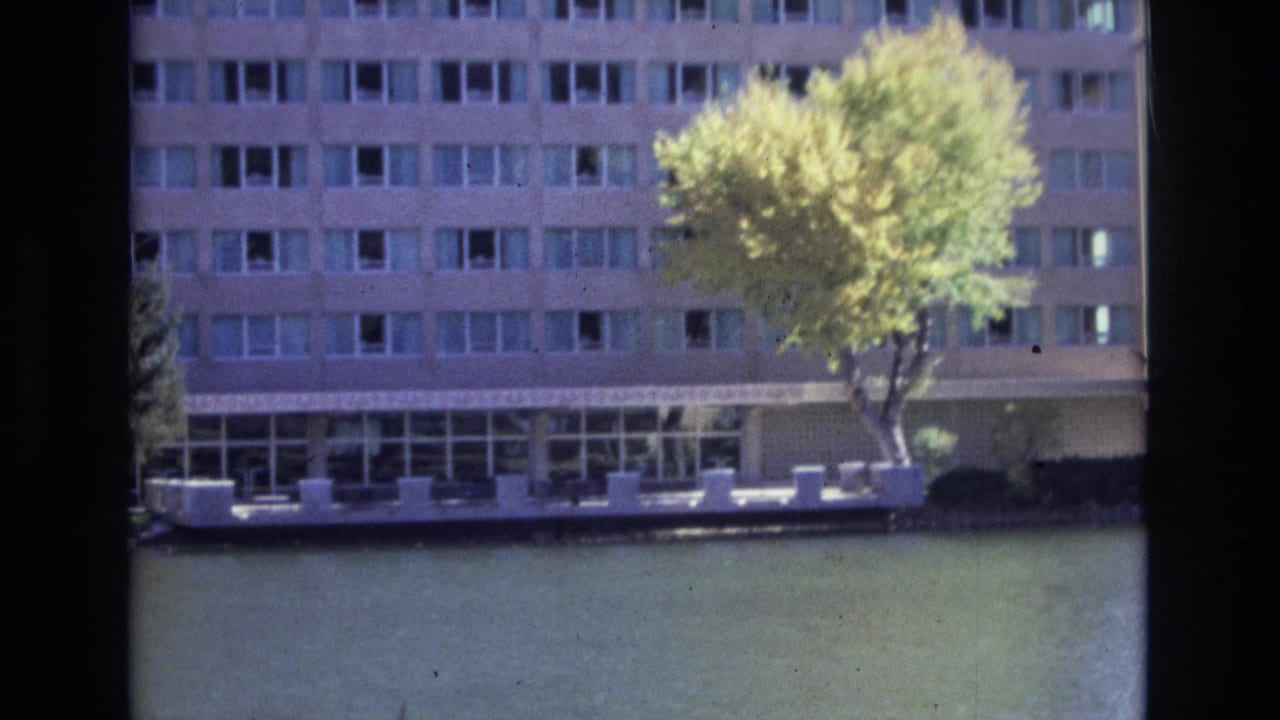 Waterside building facade with a tree and calm water in the foreground.
