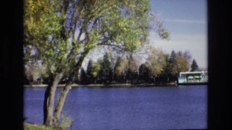 1974 Colorado Springs 8mm frame with a foreground tree trunk and green-yellow leaves beside blue lake water, with a small portion of dock across the shore.