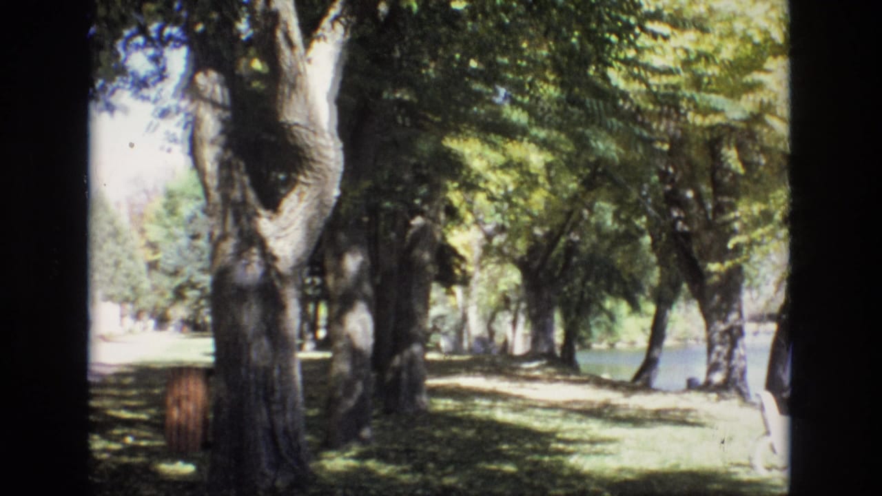 Shaded lawn with large trees and a walkway near a building edge.