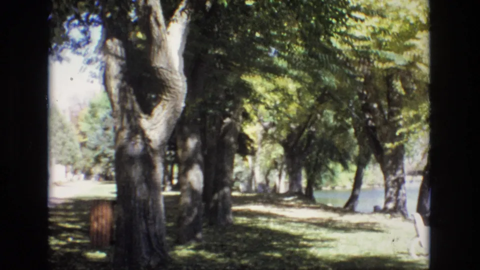 1974 Colorado Springs home-movie frame showing mature trees, grass, dappled sunlight, and a shaded path with a building partly visible beyond the trunks.