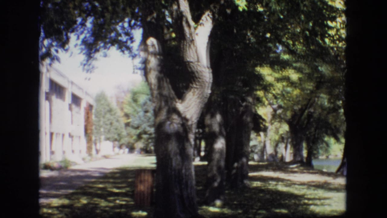 Tree-lined path with a long building visible to the left.