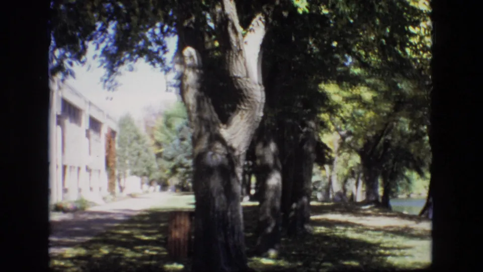 1974 Colorado Springs frame with mature trees casting shade over a walkway and lawn as a long low-rise building appears along the left side.
