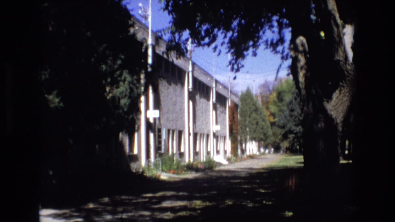 Tree-shaded view of a long modern building beside a path or drive.