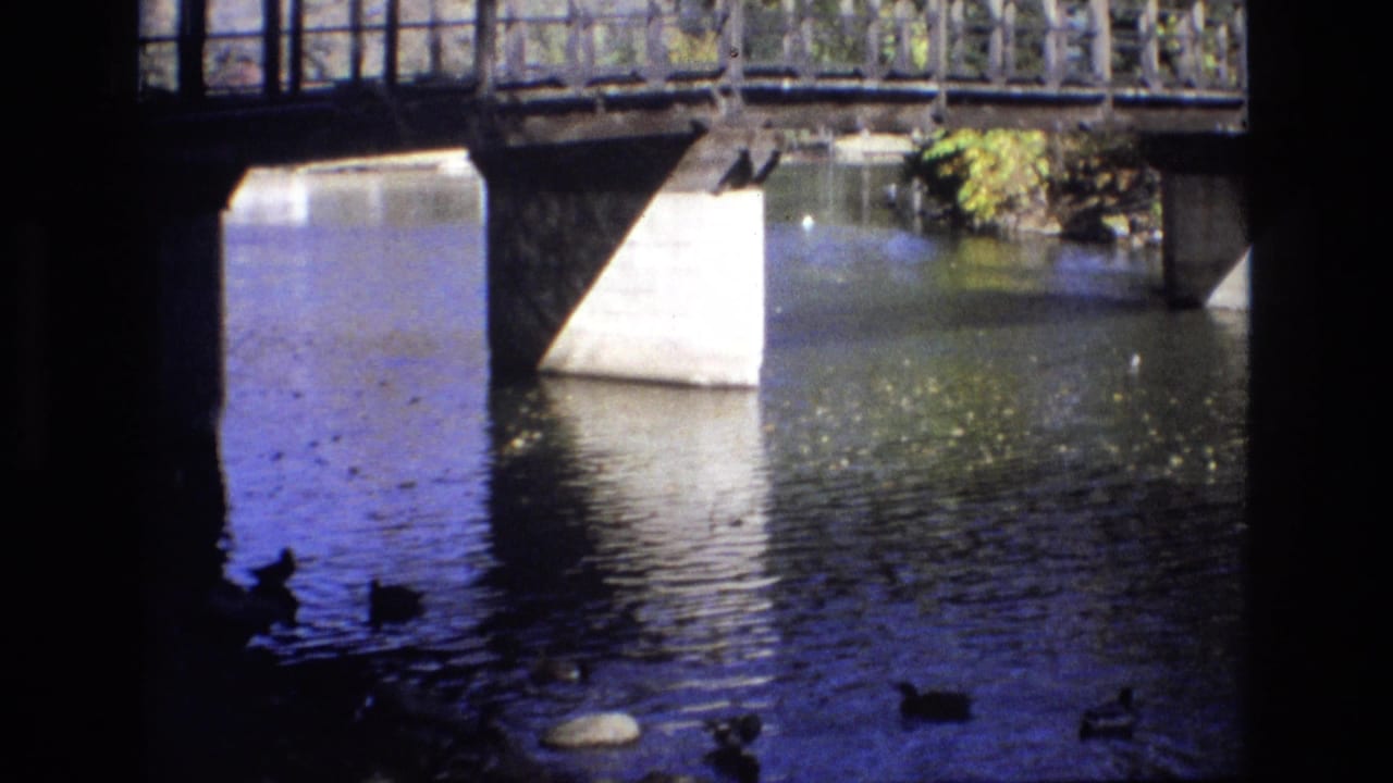 Bridge supports and ducks are seen over dark rippling water.
