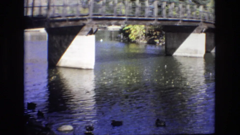1974 Colorado Springs home-movie frame centered on the water beneath a bridge, with several ducks visible against blue-toned ripples and concrete supports.