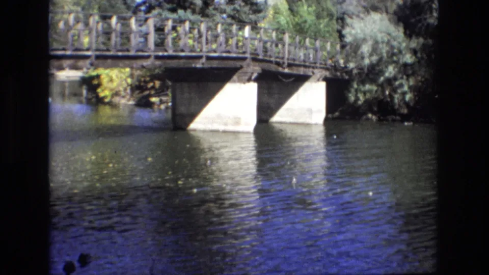 1974 Colorado Springs 8mm frame showing ducks crossing the lower waterline while a low bridge, concrete support, bright reflections, and dense greenery fill the background.