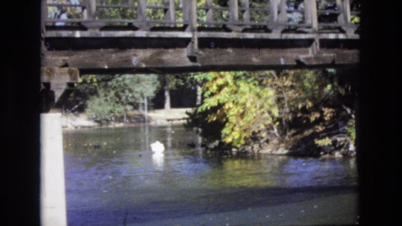 1974 Colorado Springs 8mm frame with a white duck on the river below a wooden bridge, framed by trees, foliage, and concrete supports.