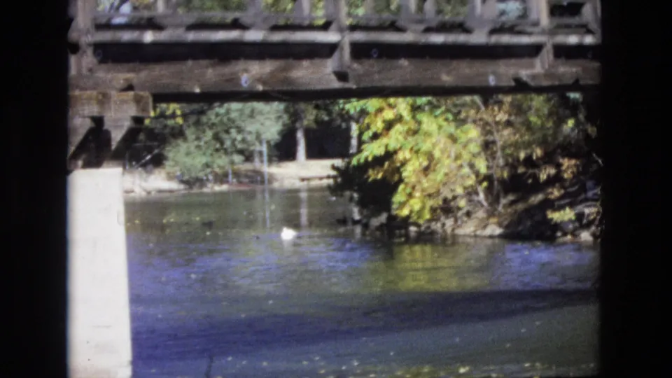 1974 Colorado Springs 8mm frame showing a white duck floating on the river beneath the wooden bridge, with autumn-toned foliage and shaded shoreline behind it.