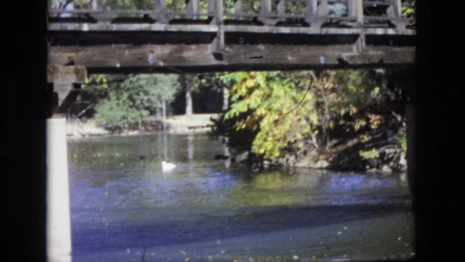 1974 Colorado Springs 8mm frame of a white duck on rippling water, with a wooden bridge overhead and dense green and yellow foliage along the riverbank.