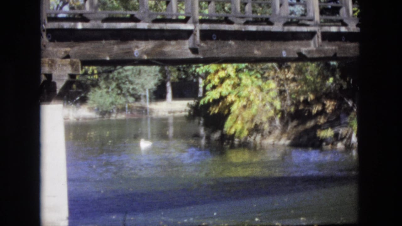 A white duck swims on dark reflective water under a rustic wooden bridge in Colorado Springs, Colorado, in 1974 home-movie footage.