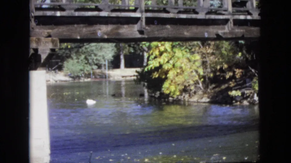 A white duck moves across the water beneath the bridge, framed by a pale support column, dark reflections, and autumn foliage in Colorado Springs home-movie footage from 1974.