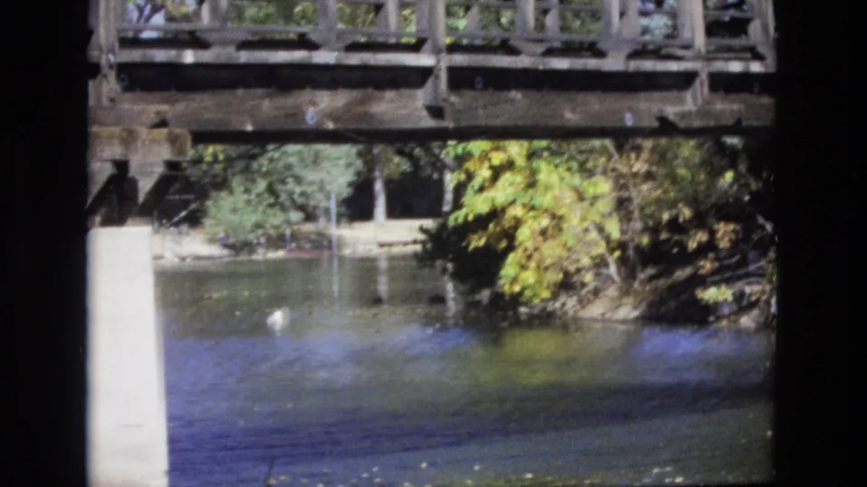 The duck appears lower in the frame near the bridge supports, with rippled water, a rustic wooden railing, and dense green-yellow foliage in the background.