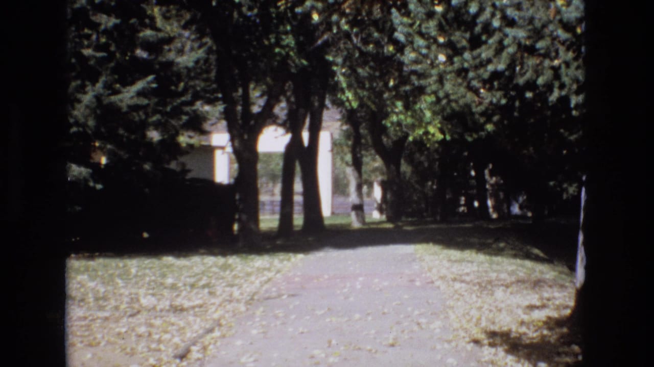 1974 Colorado Springs 8mm frame showing a quiet shaded walkway bordered by grass and mature trees, with a light-colored building partly visible through the canopy.