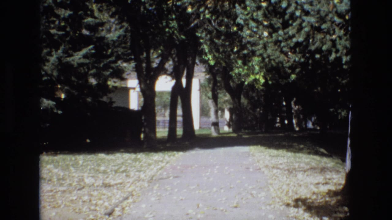 1974 Colorado Springs 8mm frame of a shaded pedestrian path, dense trees, scattered leaves, and a pale structure partly obscured in the distance.
